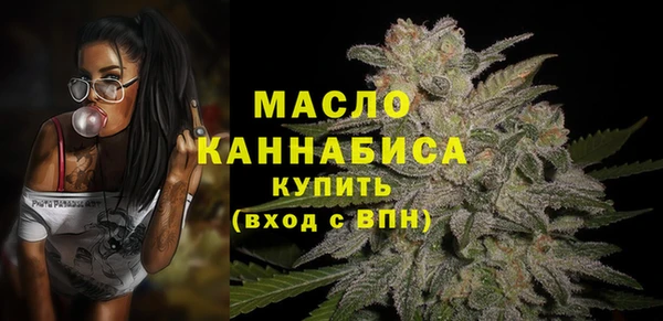 спиды Богородск