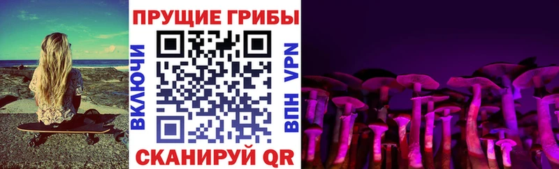 Галлюциногенные грибы ЛСД  ОМГ ОМГ вход  Красавино 